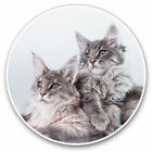 2 X Vinyl Stickers 30Cm   Fluffy Maine Coon Kitten Cat Cool Gift 15729