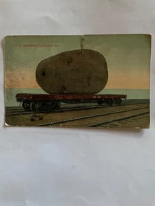 postkarte kartoffel - Bild 1 von 3