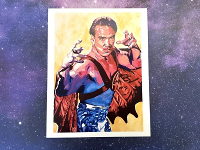 Ricky the Dragon Steamboat WWE 11x14 impresión artística obra de arte foto por Rob Schamberger Foto 1 de 4