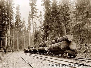 Holzfällerzug, Washington State - Historischer Fotodruck - Bild 1 von 1