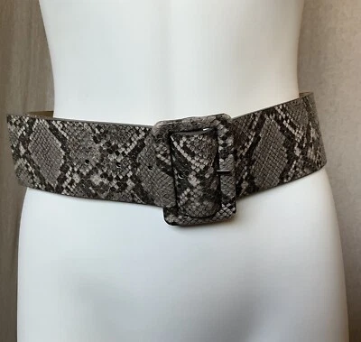 Cinturón ancho halógeno Nordstrom imitación piel de serpiente Wms M/L gris elástico hebilla cuadrada Foto 1 de 4