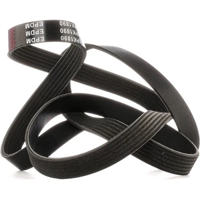 STARK Courroie Poly-V Courroie d'accessoire SKPB-0090033 pour OPEL ASTRA J - Photo 1/4