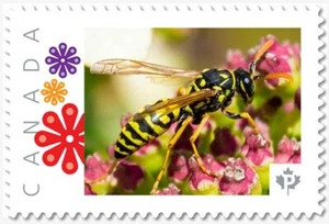 uq. Wasp = Yellow & Black = Picture Postage stamp MNH-VF Canada 2019 [p19-02sn25 - Picture 1 of 2