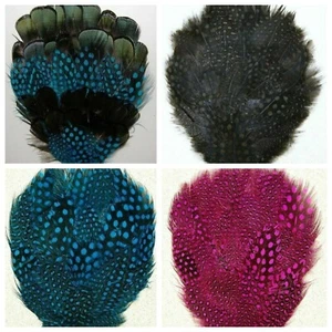 GUINEA / PHEASANT PAD - Various Colors ; Headband/Hats/Craft/Halloween/Trim - Picture 1 of 15