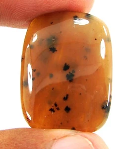30.00 Ct Natural Honey Dendrite Agate Loose Gemstone Cab Wire Wrap Stone - 23278 - Picture 1 of 2