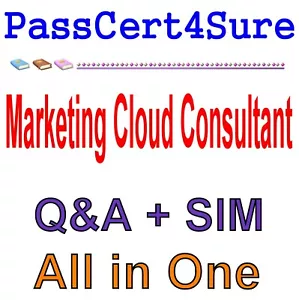 Examen de consultant en marketing cloud certifié Salesforce questions-réponses + carte SIM - Photo 1/1