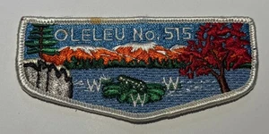 OA Lodge 515  Oleleu white New Jersey Boy Scout DC4 - Picture 1 of 2