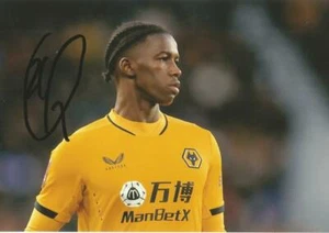 WÖLFE & PORTUGAL: CHIQUINHO SIGNED 6x4 ACTION PHOTO + COA - Bild 1 von 1