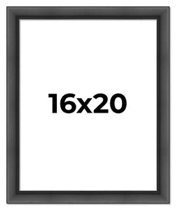 16x20 Contemporary Black Wood Frame UV Acrylic and Acid Free Foam Board - Picture 1 of 10