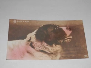 1914 POSTAL FOTO REAL - HOMBRE DE DAMA - ¡PERRO GUAPO! ¿ST. BERNARD? - Imagen 1 de 2
