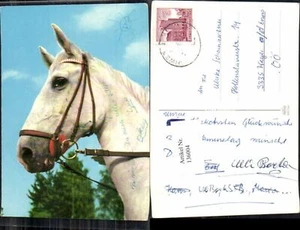 136004,Pferde Pferd  - Picture 1 of 1