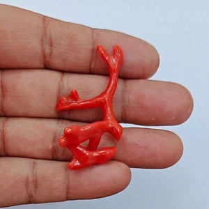 Italy Red Coral Branch Gemstone Mediterranean 100% Natural Coral Polished Rough - Picture 1 of 8