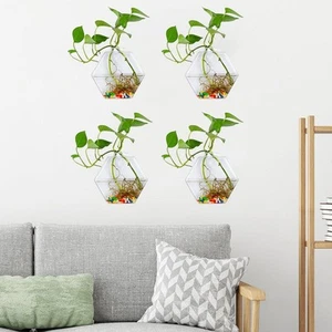4Pcs Hexagonal Glass Vase Plant Pot Wall Hanging Hydroponic Terrarium Home Decor - Picture 1 of 7