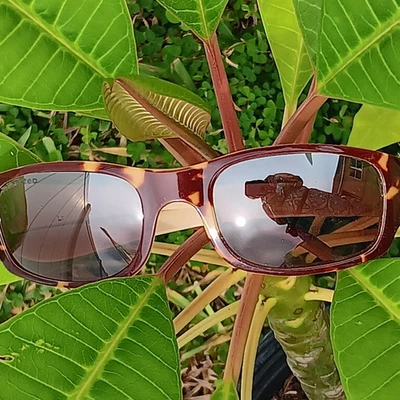 Gafas de sol Revo Re2043-03 Checkpoint 125 polarizadas tortuga y bronceado Foto 1 de 4