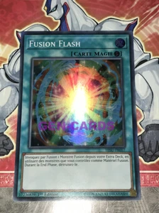 Yu Gi Oh Fusion Flash Karte HISU-FR057x2 - Bild 1 von 1