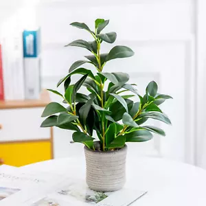 Alphaacc 16 Inch Artificial Indoor Plants Office Desk Faux Plant Peperomia Leaf - Picture 1 of 12