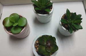 Set of 4 Artificial Succulent Plants Assorted Ceramic Pots-Pink White Green 2.5" - Picture 1 of 6