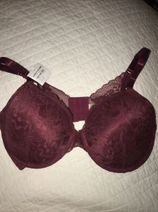 nwt jessica simpson lace burgandy light padded bra 40 D Full Coverage Wine - Picture 1 of 5