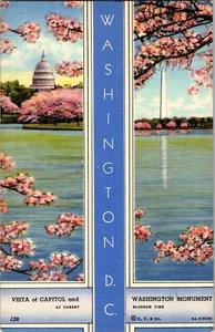 Postal de lino Washington DC at Cherry Blossoms Time Distrito de Columbia - Imagen 1 de 2
