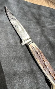 BOKER VTG Hunting Knife Damascus Steel Made In Solingen Germany Stag Handle - Picture 1 of 12