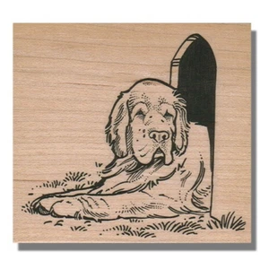 Mounted Rubber Stamp, Dog In House, Animal Stamp, Grass, Pet,Head,Cute,Face,Eyes - Picture 1 of 2