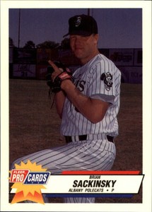 1993 Albany Polecats Fleer/ProCards #2025 Brian Sackinsky