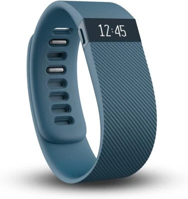Fitbit FB404 Charge senza Fili Attività Polsino - Ardesia, Piccolo - Immagine 1 di 4