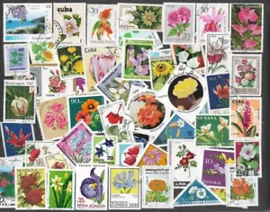 FLEURS SUR TIMBRES 500 COLLECTION TOUS DIFFÉRENTS (24/12/24) - Photo 1/2