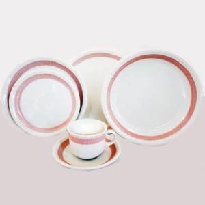 FLORIDA by Thomas by Rosenthal 6 Piece Place Setting NEW NEVER USED made Germany - Picture 1 of 8