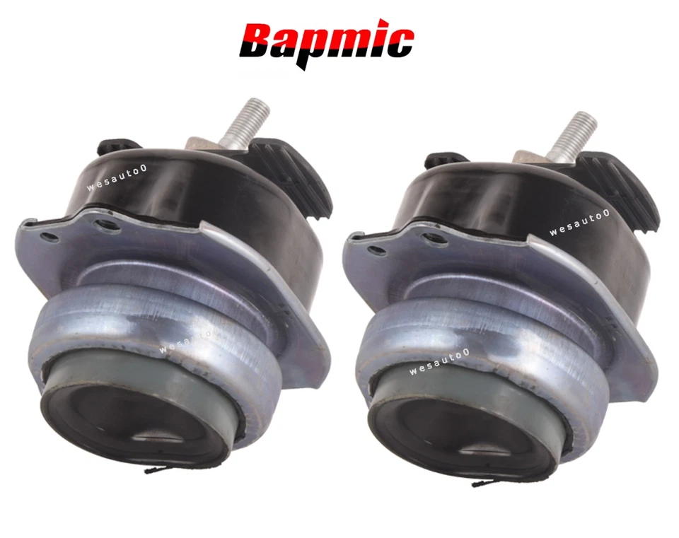 Engine Mount Hydraulic Lt/Rt 2pcs OE Spec for BMW X5 X6 xDrive50i - Image 1 of 1