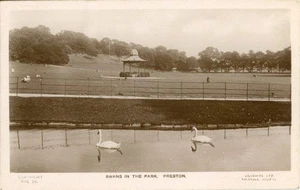 ECHTFOTO-POSTKARTE VON SCHWÄNEN IM PARK, PRESTON, LANCASHIRE VON LILYWHITE - Bild 1 von 2