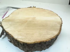1 Piece 20" Pine Log Slice Wood Disk Rustic Wedding Centerpiece Coaster Platter - Picture 1 of 11