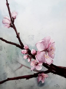 Sakura Original Aquarellgemälde 11*15 Zoll Wanddekoration orientalische Kunst - Bild 1 von 15