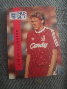 1990-91 Pro Set Steve Staunton #104 (RC) - Picture 1 of 2