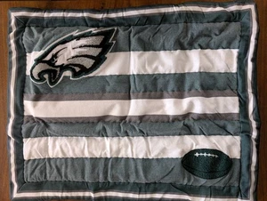 POTTERY BARN NFL Philadelphia Eagles Std Sham-OPEN BOX - Picture 1 of 3