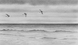Northern Art original pencil drawing. Dave Hartley ocean birds seascape artwork. - Picture 1 of 2
