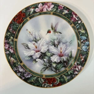 Complete Set of 8 Plates fr Lena Liu Hummingbird Treasury Collection - No chips! - Picture 1 of 16