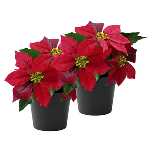 2 Pack Poinsettias Artificial Christmas Flowers Small Red Poinsettia Plant Ar... - Foto 1 di 6