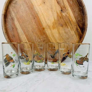 Ned Smith Longdrinkgläser Set (6) Vintage 12 Unzen 5,5 Zoll Spiel Vogel Ente Goldrand EUC - Bild 1 von 19