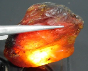 32,85Ct Natürlicher Honig Baltischer Bernstein Polen Grob Lose Edelstein Ref Video - Bild 1 von 8