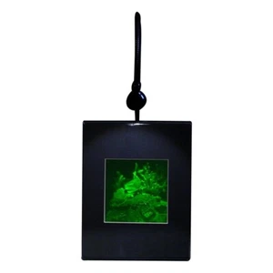 3D Hai (Riff) Hologramm Bild BELEUCHTETER SCHREIBTISCHSTÄNDER, Polaroid Photopolymer Film - Bild 1 von 7