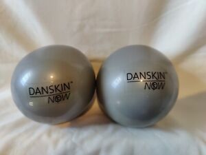 Set2 Danskin Now 2Lb Weighted Balls Silver Workout Yoga Medicine Toning Dumbbell