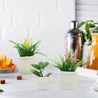  3 Pcs Mini-Pflanzenmodell Plastik Wohnkultur Mini-Topfpflanze