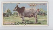 1924 Player's Natural History Tobacco Indian Ox or Zebu #34 1i3