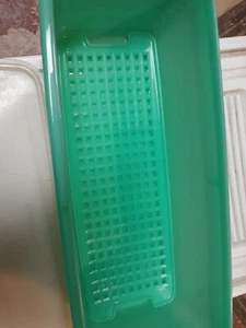 Contenitore custode sedano Tupperware verde giadite vintage con inserto 782-3 coperchio 782-3 - Foto 1 di 5