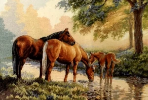 DIMENSIONS Gold Collection HORSES BY A STREAM Counted Cross Stitch Kit VERY RARE - Picture 1 of 4