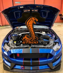 Shelby gt500-gt350 mustang hood prop for car show (customization available) - Picture 1 of 15