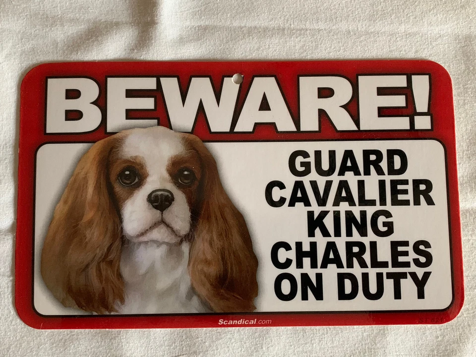 BEWARE GUARD DOG CAVALIER CHARLES ON DUTY PLASTIC LAMINATED SIGN NEW - Image 1 of 1