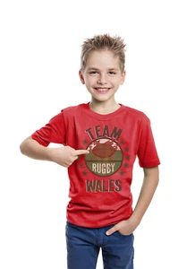 TEAM WALES Rugby T-Shirt Uomo Bambini Donna Qualità Cotone 6 Nazioni Gallese Cymru - Foto 1 di 4