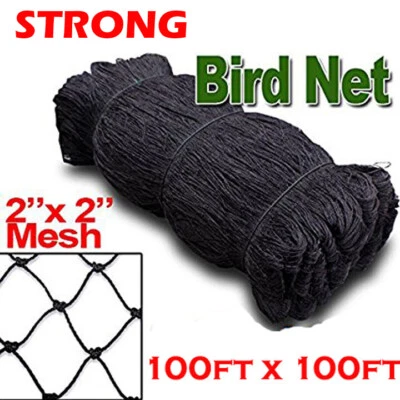 MNET X-Large Strong 100ftx100ft All Seasons Net For Bird Poultry Avaiary Pen 2" Hole